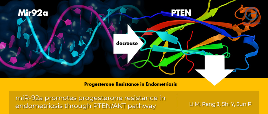 miR-92a and progesterone resistance in endometriosis