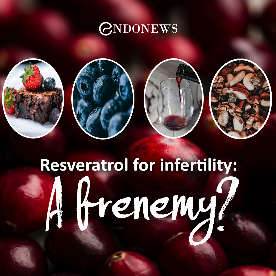 Resveratrol for infertility A frenemy? EndoNews