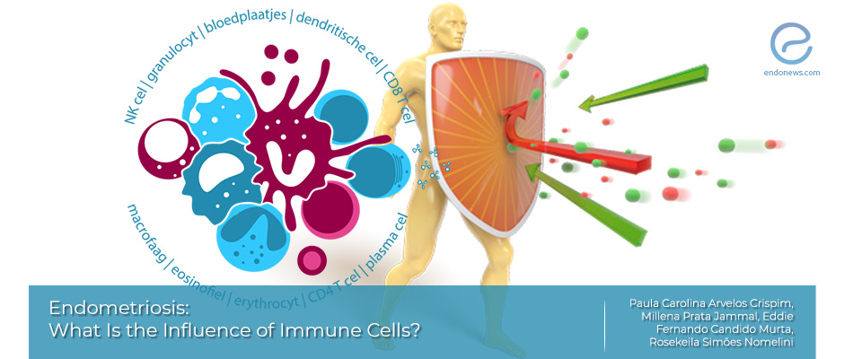 Immune System, Cytokines and Endometriosis