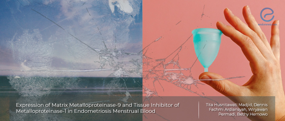 Menstrual Blood Proteins for Endometriosis Diagnosis