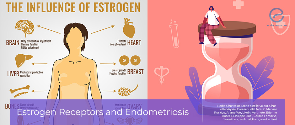 Estrogen Receptors and Endometriosis: What do we know now?