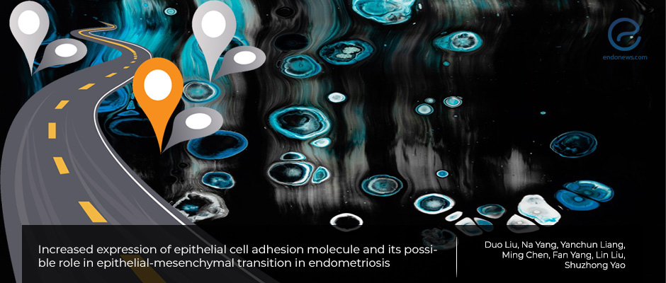 Increased expression of epithelial cell adhesion molecule and its possible role in epithelial-mesenchymal transition in endometriosis.