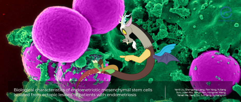 Endometriotic mesenchymal stem cells may promote endometriosis