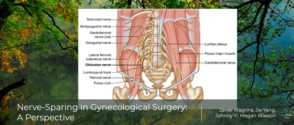 Benefits of Nerve-Sparing Hysterectomy 