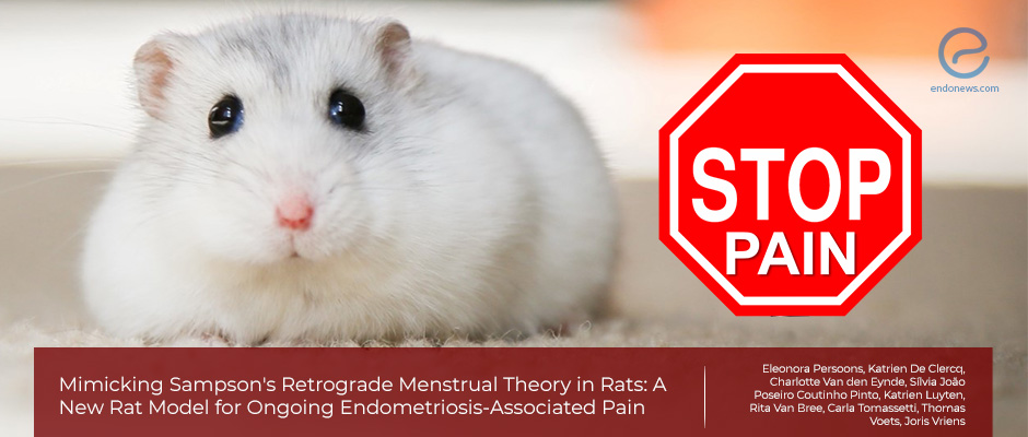 New Rat Model of Endometriosis Could Help Researchers Develop New Treatments for the Condition