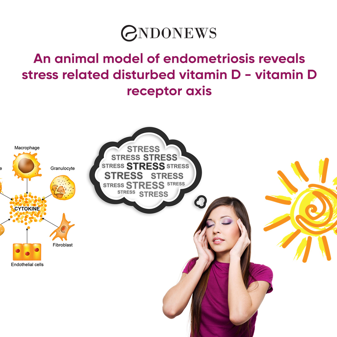 An animal model of endometriosis reveals stress related disturbed
