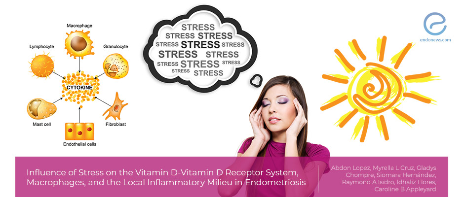An animal model of endometriosis reveals stress related disturbed vitamin D - vitamin D receptor axis