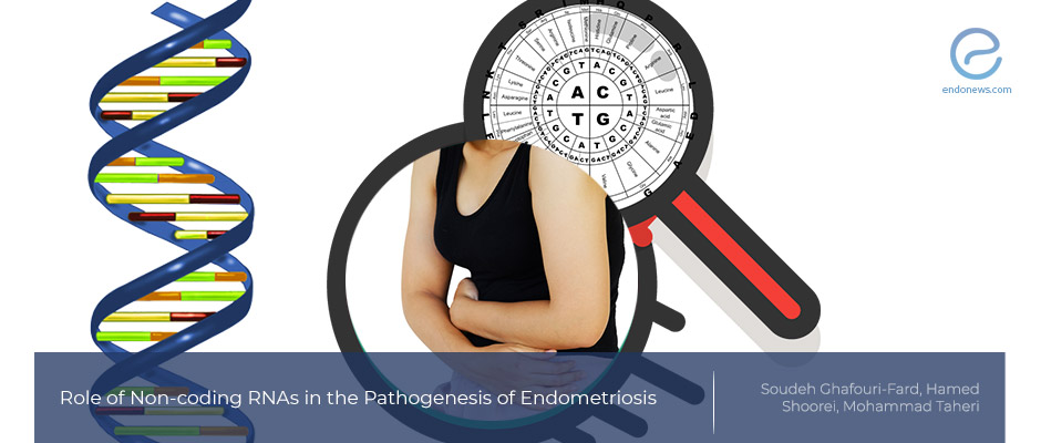 Non-coding RNAs and Endometriosis