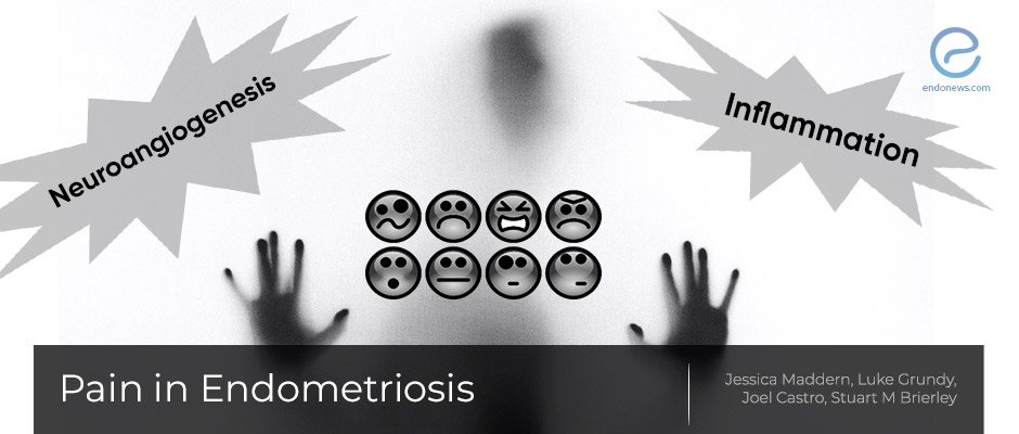 Pain in Endometriosis