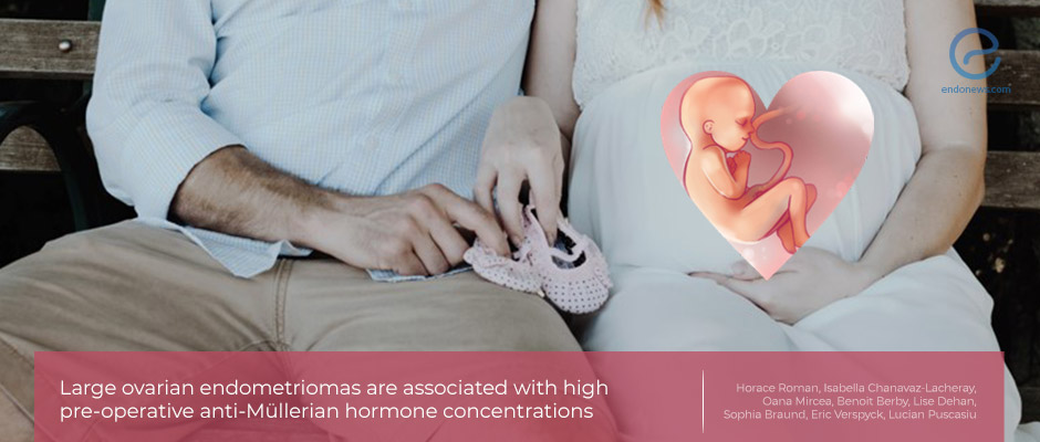 Endometrioma size and anti-Müllerian hormone levels