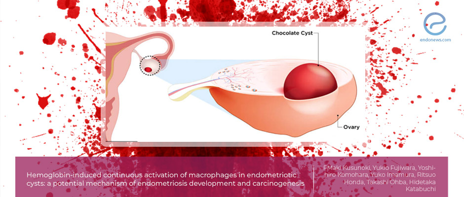 Is hemoglobin the immune trigger of endometriosis?