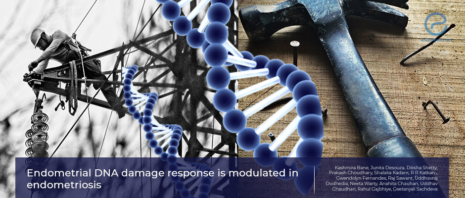 DNA damage response in eutopic endometria of endometriosis patients