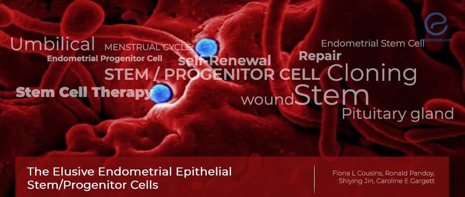 Endometrial epithelial stem/progenitor cells have links to endometriosis with potential therapeutic research aspects