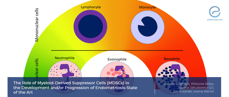Myeloid-Derived Suppressor Cells are gaining importance in endometriosis