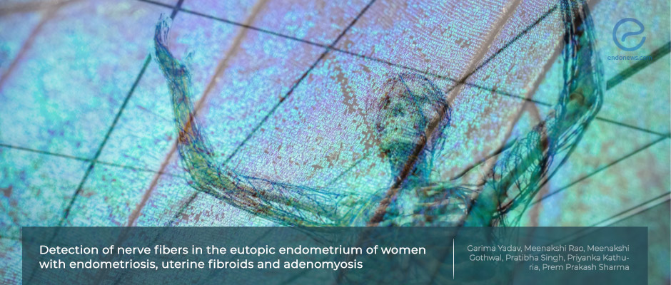 Is the presence of nerve fibers in the endometrium associated with endometriosis?