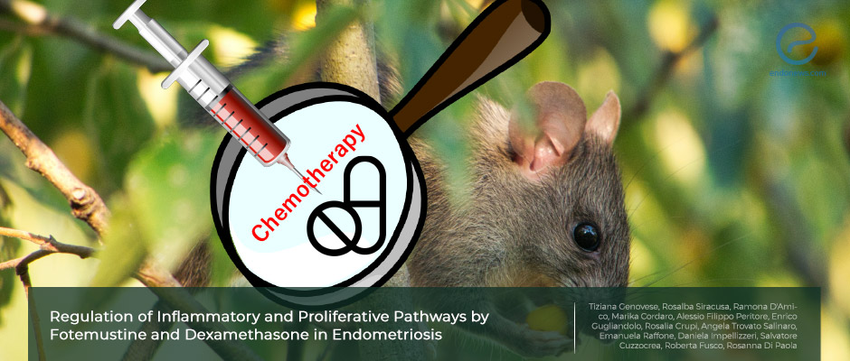 Promising therapeutic results in experimental endometriosis model