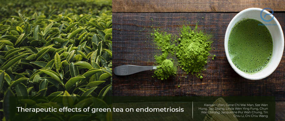 Green tea as a therapeutic agent in endometriosis