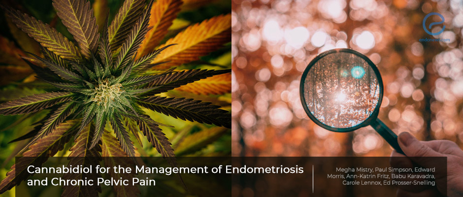 Could Cannabis Be Recommended to Manage Endometriosis?