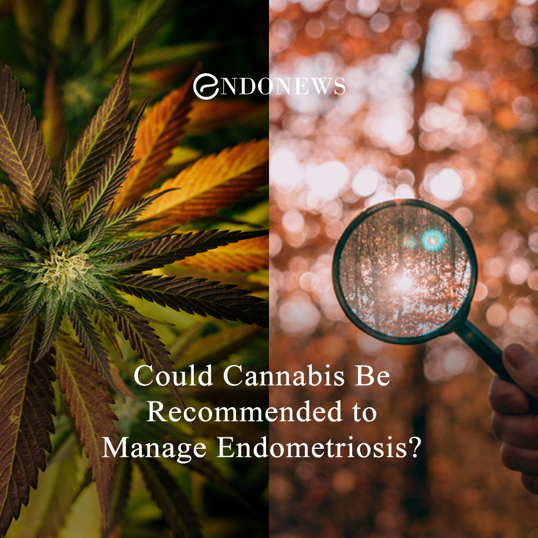Could Cannabis Be to Manage Endometriosis? EndoNews