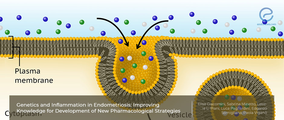 Inflammatory and genetical background of endometriosis may yield new therapeutic approaches