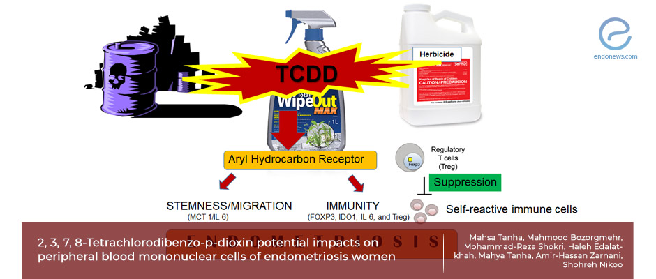 Herbicide Alters Immune System on the Route to Endometriosis