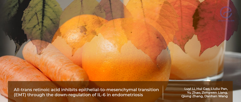 Vitamin A interrupts epithelial-mesenchymal transition in endometriosis