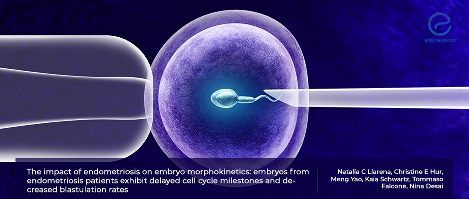 Endometriosis Seems to Affect The Development of the Embryo