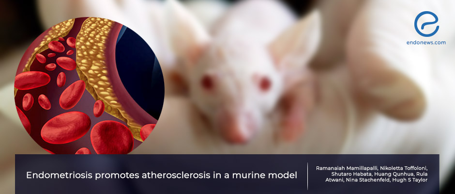 Atherosclerosis is augmented in laboratory mice by experimental endometriosis 