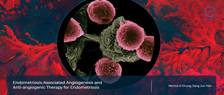 Does inhibiting the formation of the new blood vessels aid in endometriosis treatment?