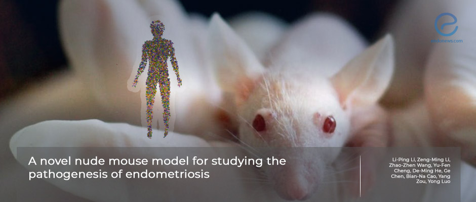Researchers Develop New Mouse Model of Endometriosis