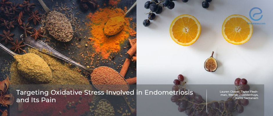 Is endometriosis an oxidative stress-induced inflammation?