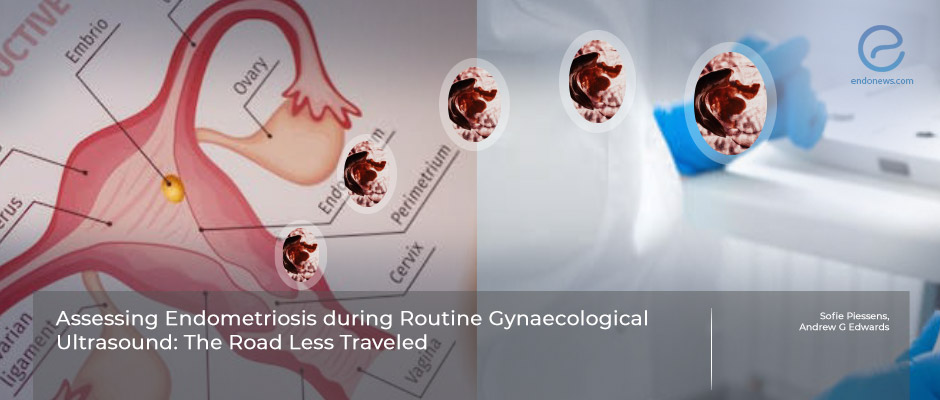 A prediction model to identify endometriosis during routine ultrasound .