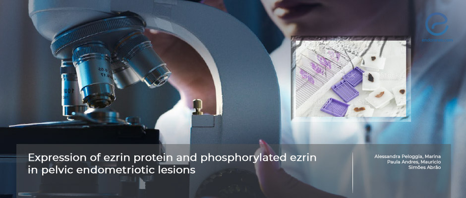 Organizing structural protein Ezrin and its active form in endometriosis biopsies 