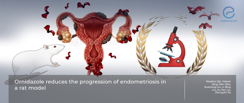 Antimicrobial agent ornidazole yields promising effects in an animal model of endometriosis