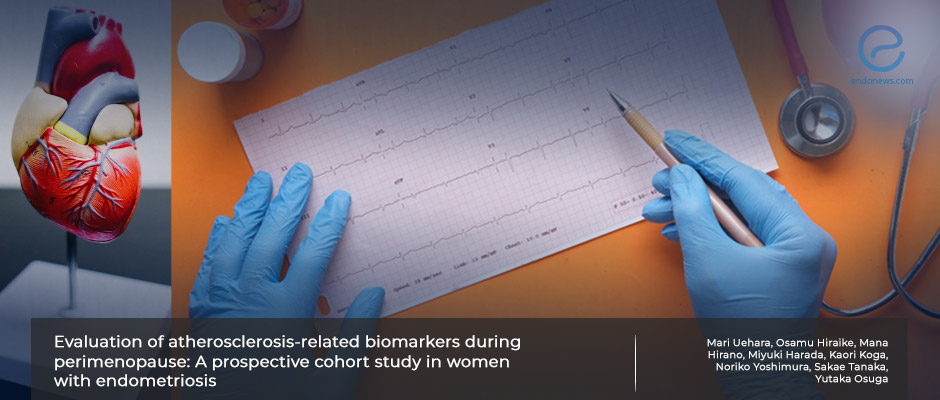 Which parameter is useful in predicting cardiovascular disease risk in perimenopausal endometriosis patients?