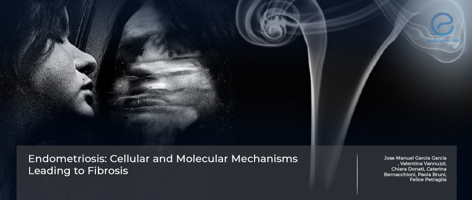 Molecular and cellular mechanisms of fibrogenesis in endometriosis