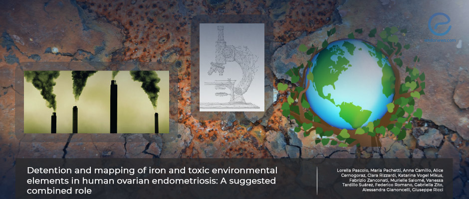Iron and toxic environmental elements in ovarian endometriomas