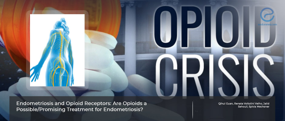 Is there a way for a nonaddictive opioid for endometriosis pain?