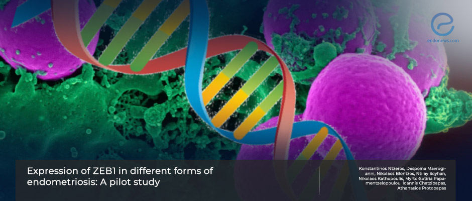 Does ZEB1 Gene Expression Govern Endometriosis Infiltration Pattern?