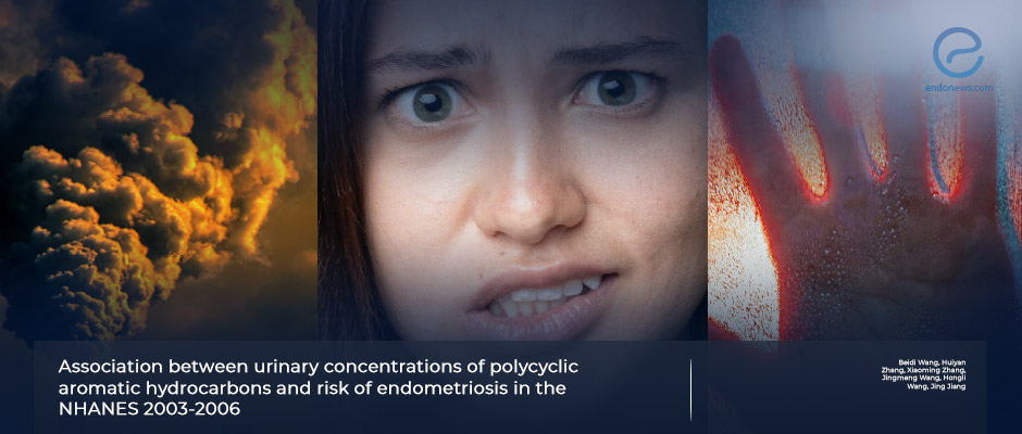 Study Finds Link Between Exposure to Pollutants and Increased Riks of Endometriosis