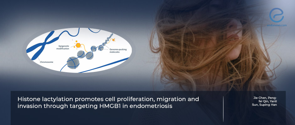 Study Identifies Potential New Theraputic Target in Endometriosis