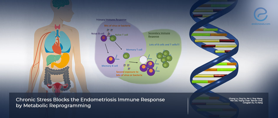 Chronic stress may be involved both in the pathogenesis and progression of endometriosis 