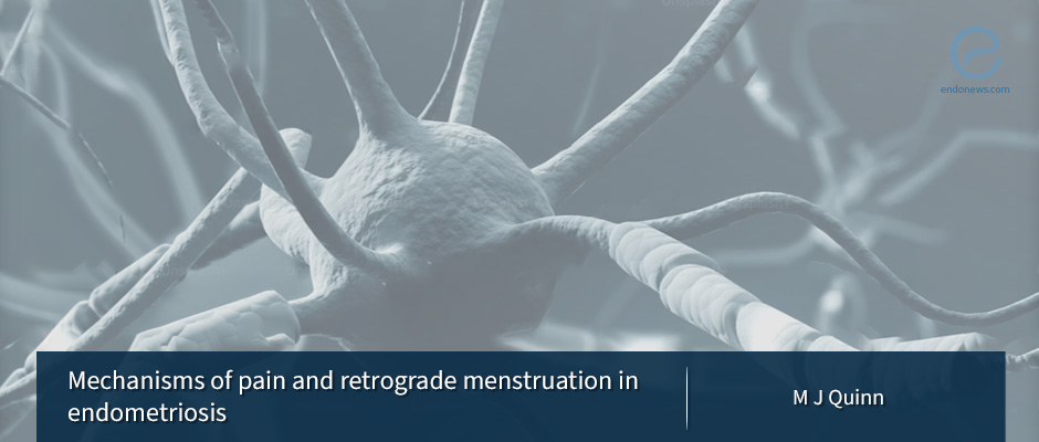 Chronic pelvic pain mechanisms in endometriosis
