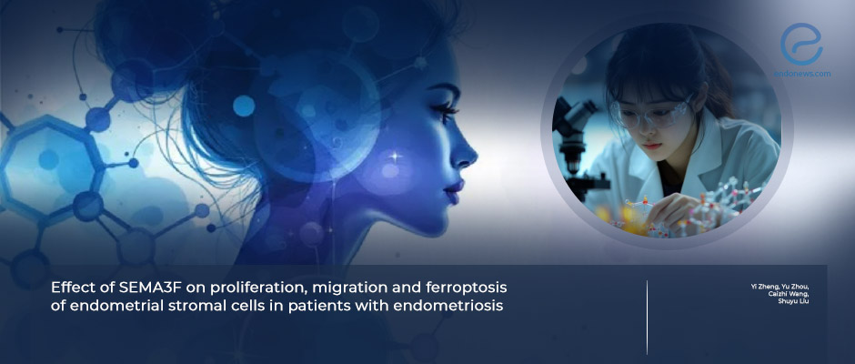 Investigating SEMA3F in Endometriosis Pathogenesis