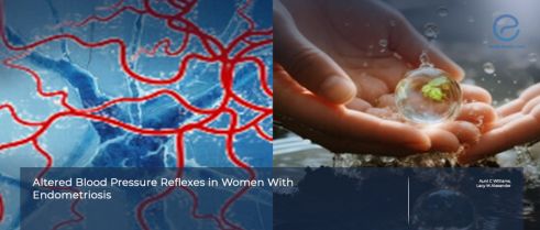 Endometriosis and Impaired Neurovascular Control