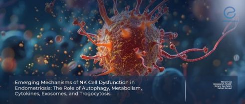 Why NK Cells Fail in Endometriosis?