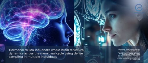 Whole-Brain Dynamics Across Menstrual Hormonal Fluctuations