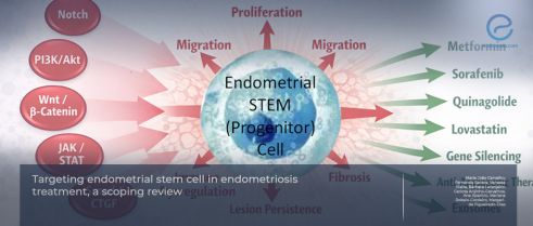 Stemness as the Engine of Endometriosis Progression and Therapeutic Targeting
