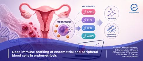 Could Ferroptosis Help Explain Endometriosis Development?