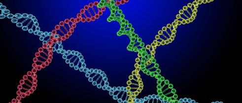 Epigenetic regulation of the pathological process in endometriosis.